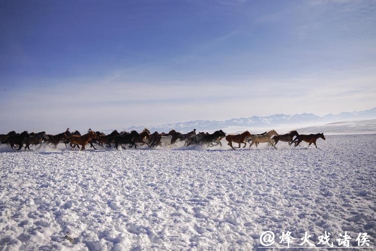 冰雪昭苏迎客来 冰雪昭苏迎客来